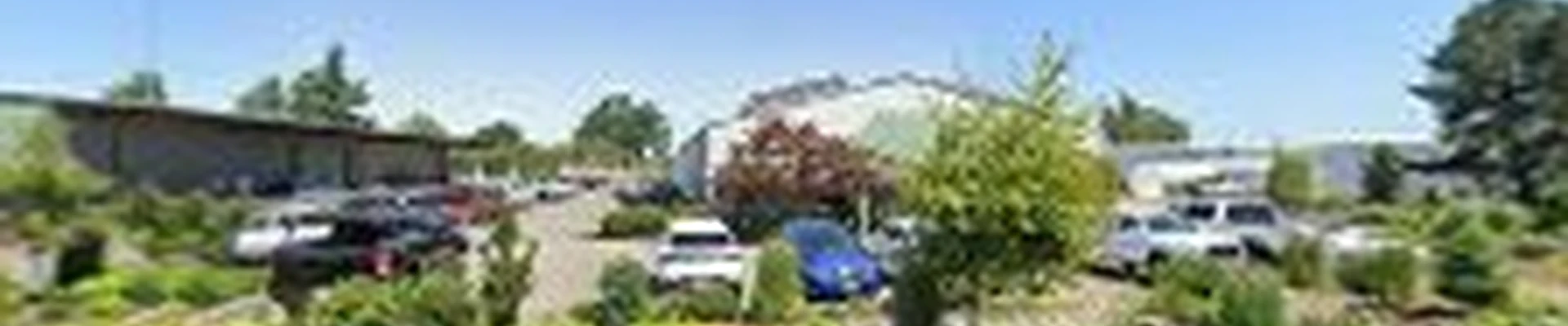 DeSantis Landscapes