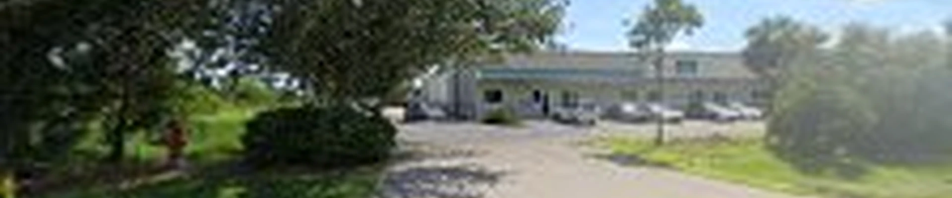 Palm King Landscaping and Tree Service