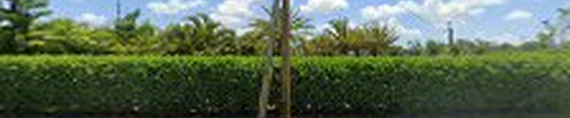 Caple Landscape Management