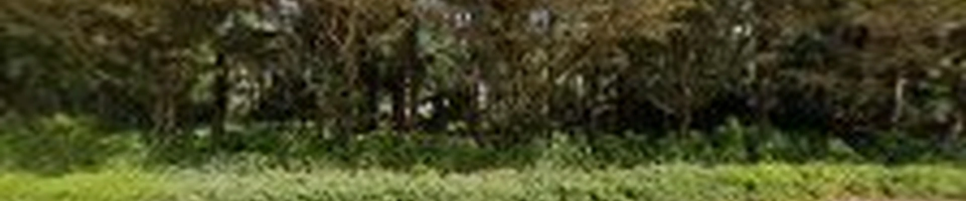 Earthcare Landscape Services