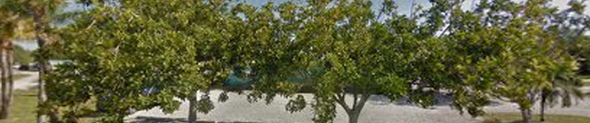 Island Lawn Care and Landscaping