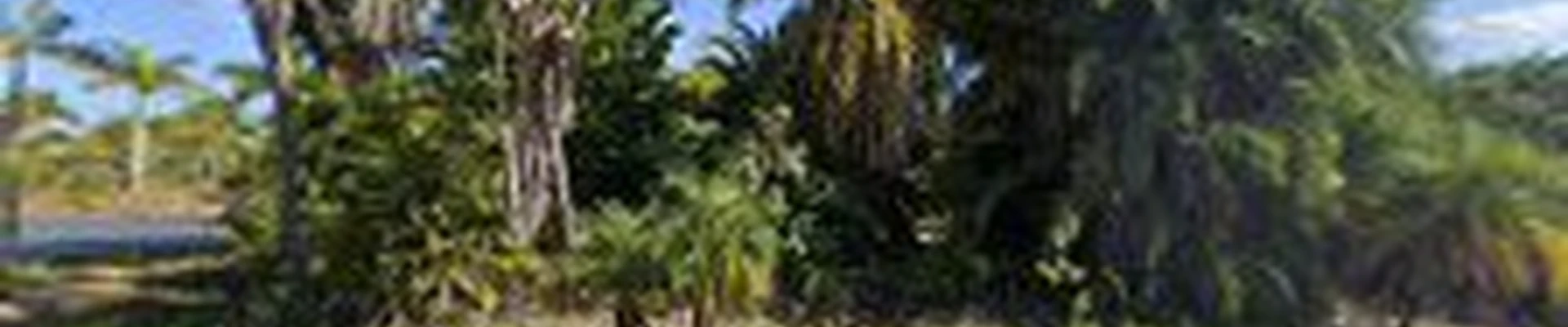 Growing Grounds Landscaping