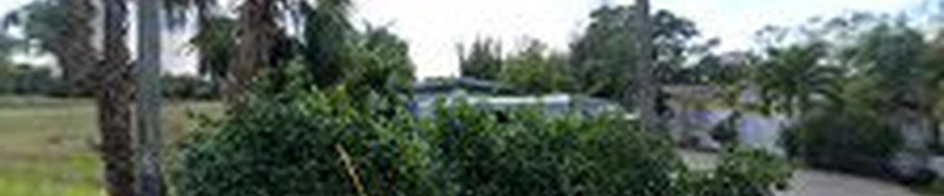 C&E Landscaping Services 1989 LLC