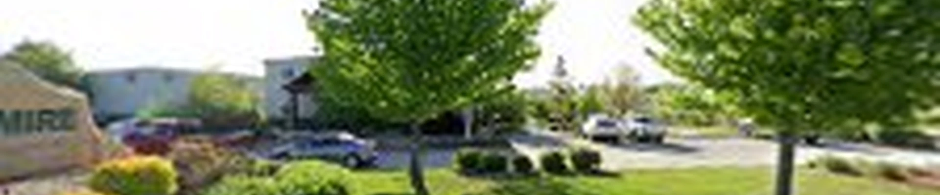 Belmire Premier Landscape Solutions