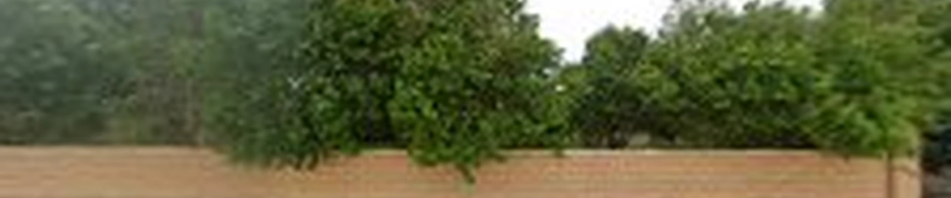 Paradise Landscape Management