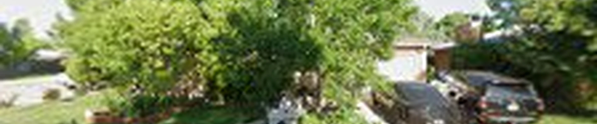 Nick's Landscape Service LLC