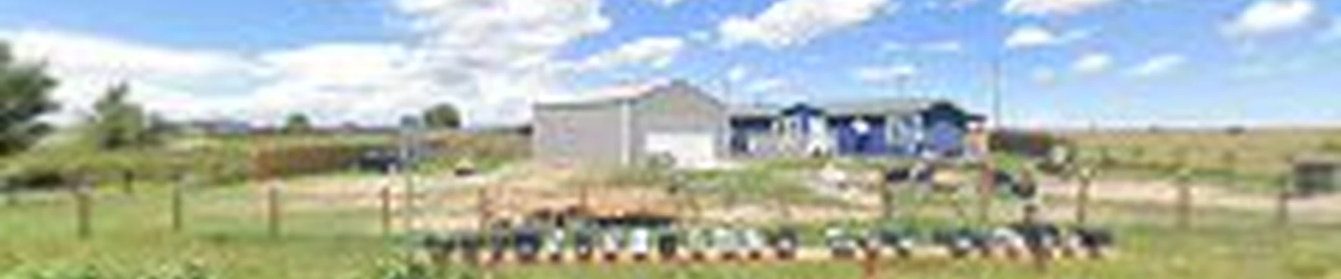 Transcend Landscaping