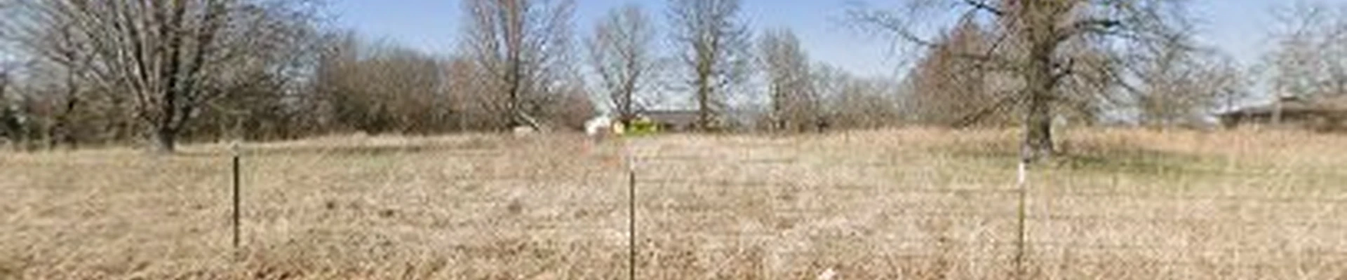 Green Scene Lawn Care and Landscaping