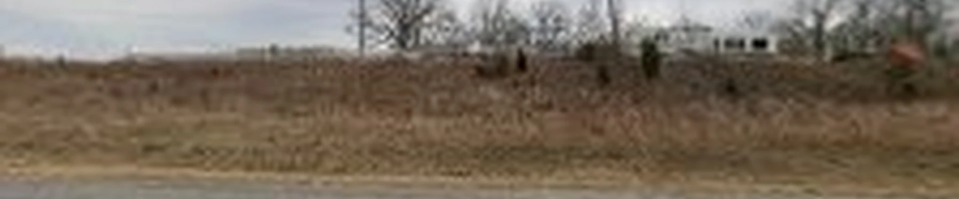 Springfield Gardens Lawn & Landscape, LLC