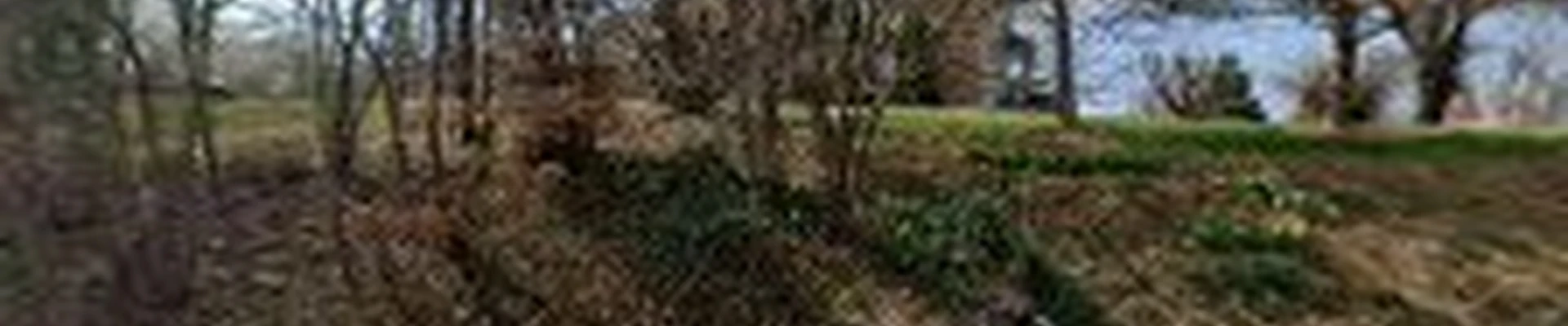 Oasis Lawncare, LLC