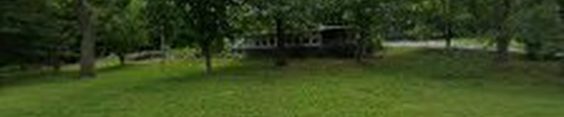 Modern Lawn and Property Solutions LLC
