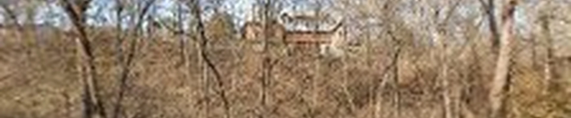 Detail Lawn and Landscape
