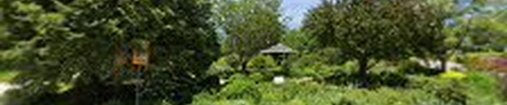 Water Wise Garden