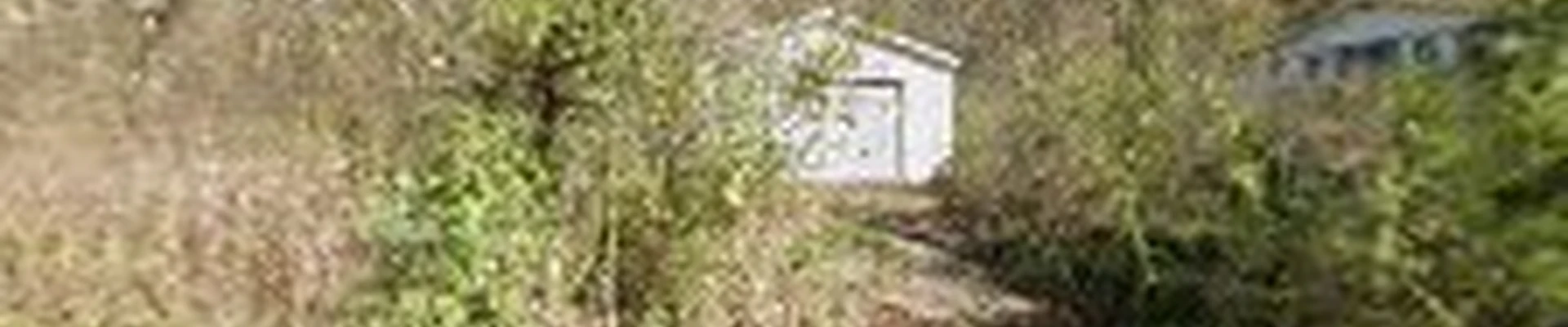Hall's Landscaping