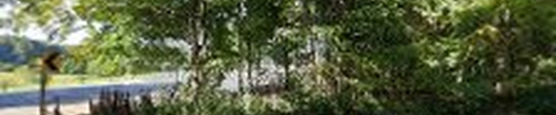 Chamberlain Landscaping LLC