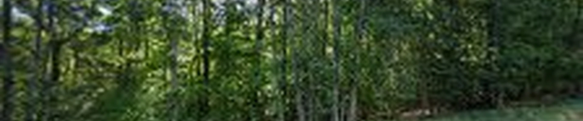 Phoenix Lawn Care and Landscaping LLC