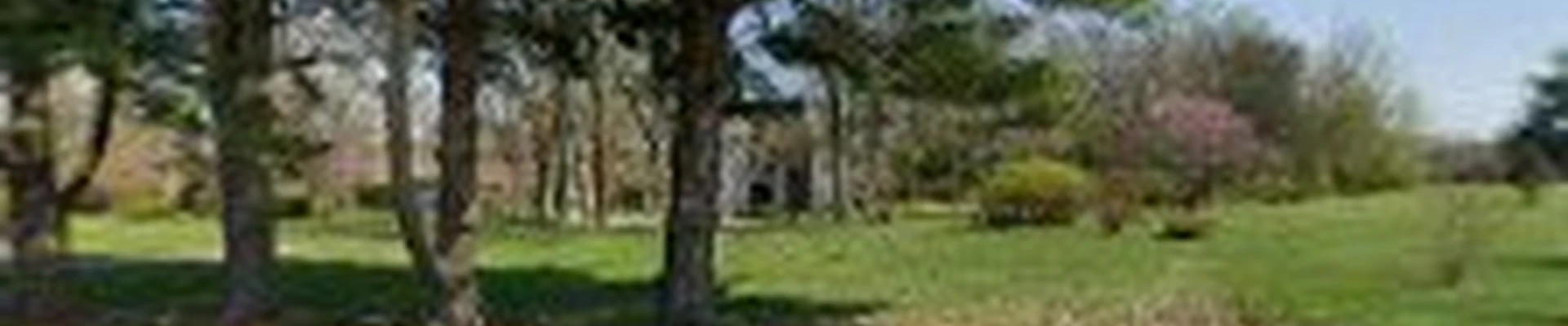 Horizon Home & Lawn