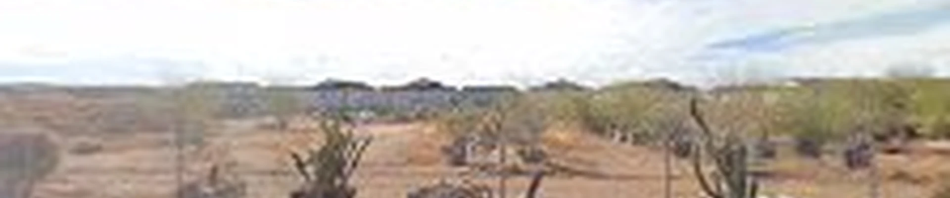 Old West Cactus Farm