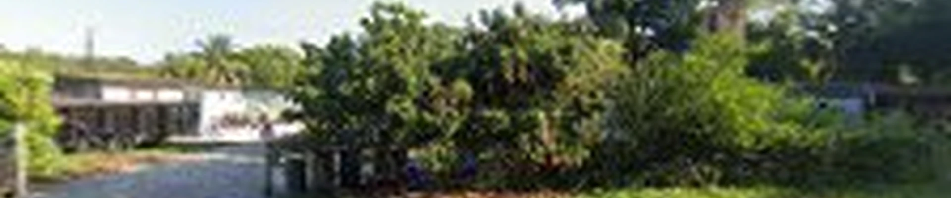 CG Local Landscaping LLC