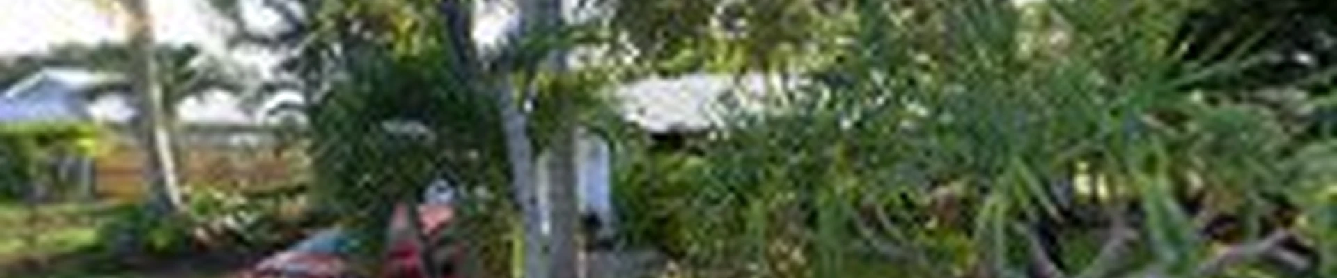 Tropiscapes Landscaping