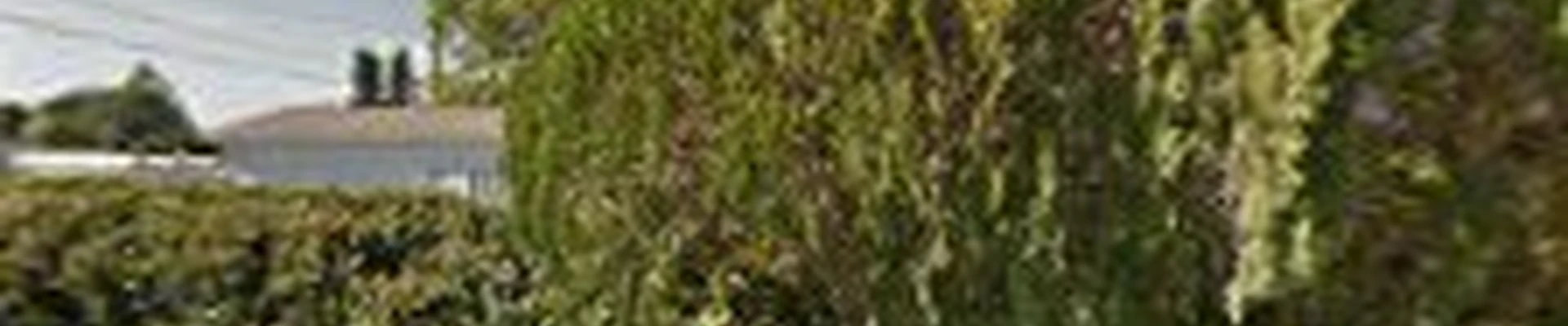 JB's Estatescapes Landscape Installation and Maintenance LLC EXCELLENCE IN LANDSCAPING