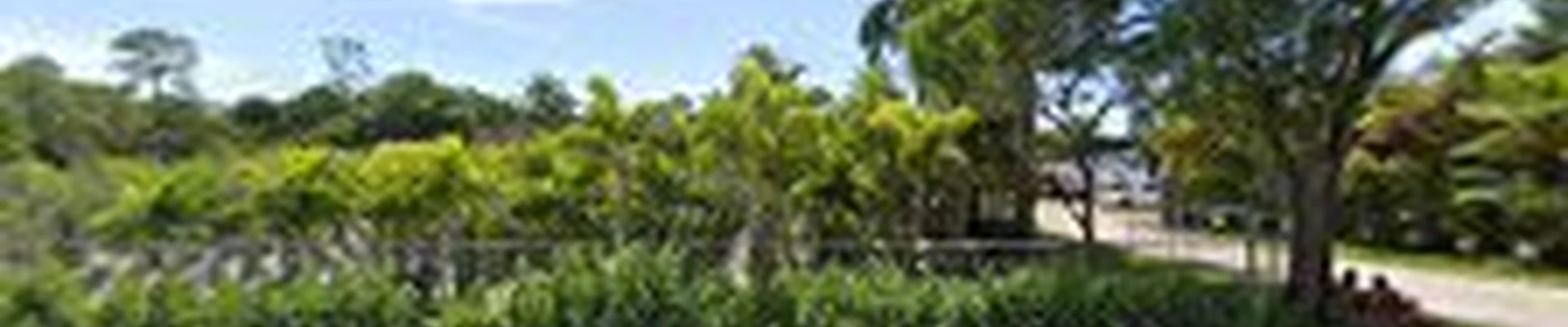 Above & Beyond Landscaping, LLC
