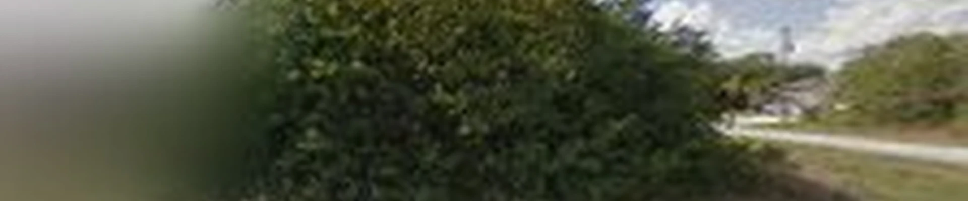 Permascapes Landscaping