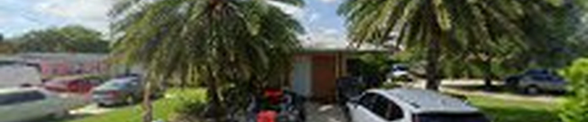 Orlando landscape inc and tree service | tree contractor | tree care | landscaping designer | Tree Trimming | Stuart, FL