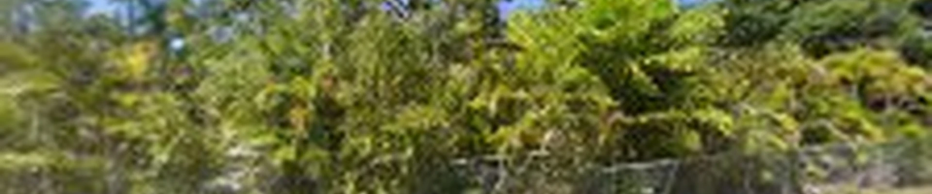 Atlantic Custom Landscapes