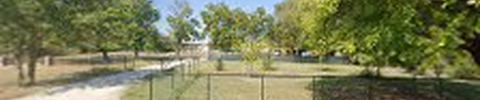 Texas Tree And Landscape