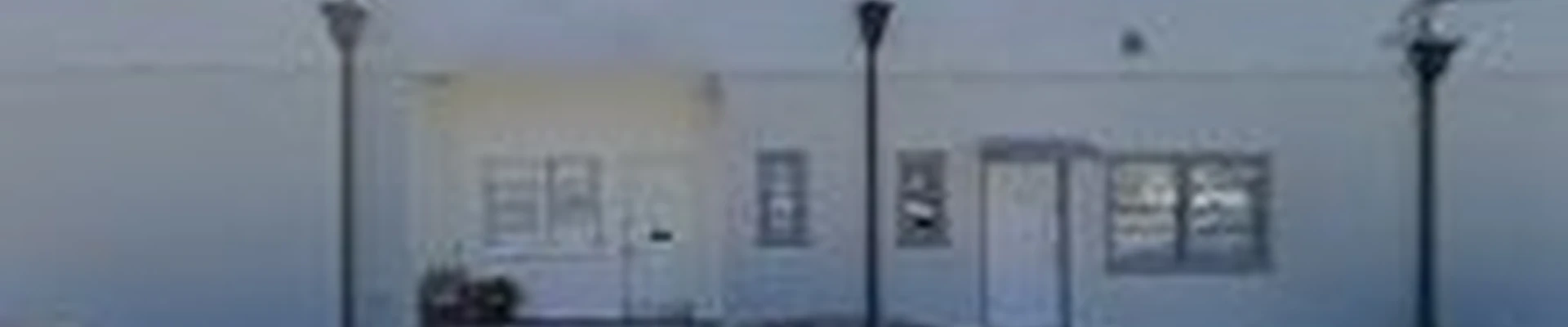 Ned Patchett Tree Care & Consulting