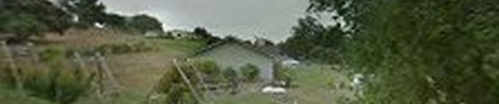 Tropical Landscaping Co