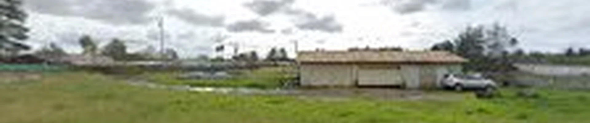 Las Palmas Landscape Maintenance