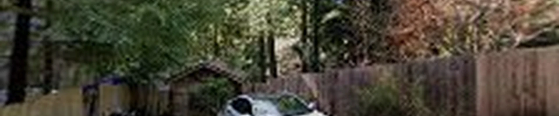 Pineda Tree Service
