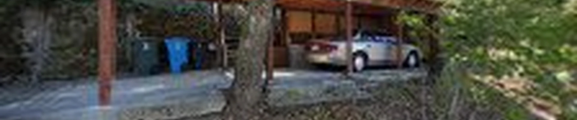 Neck of the Woods Tree Service