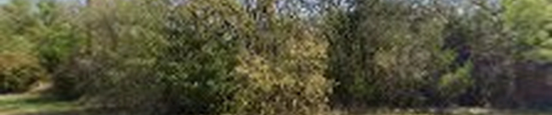 McLean Landscaping