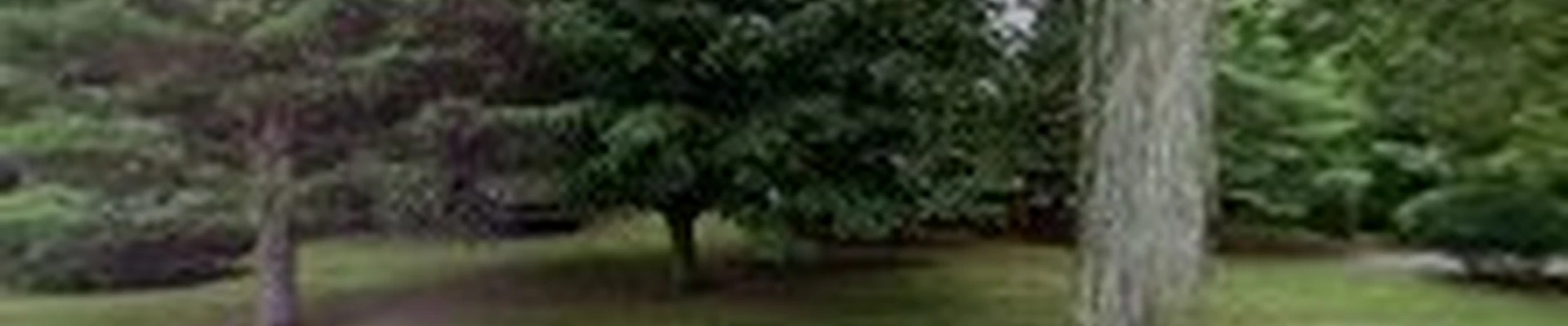 Guzie Landscaping, LLC