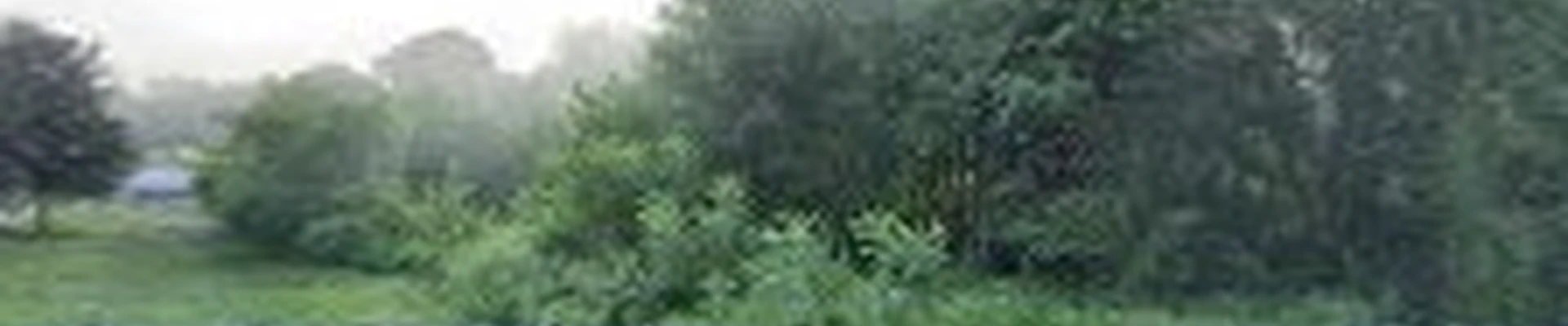 Four Seasons Landscaping Inc