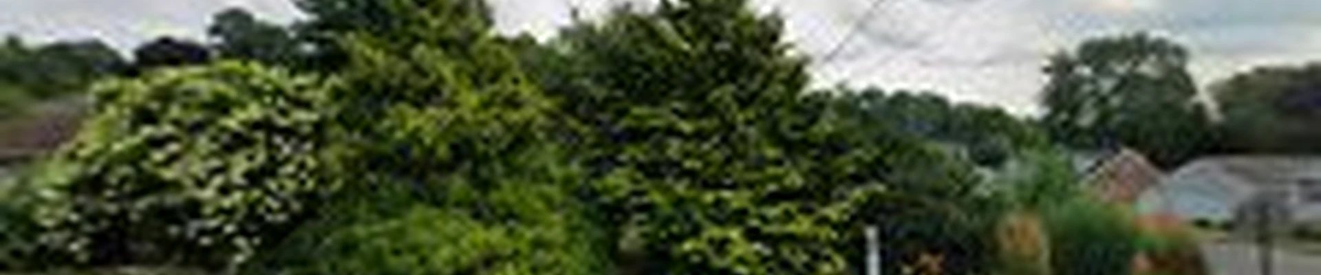 Dirt and Stone Landscaping