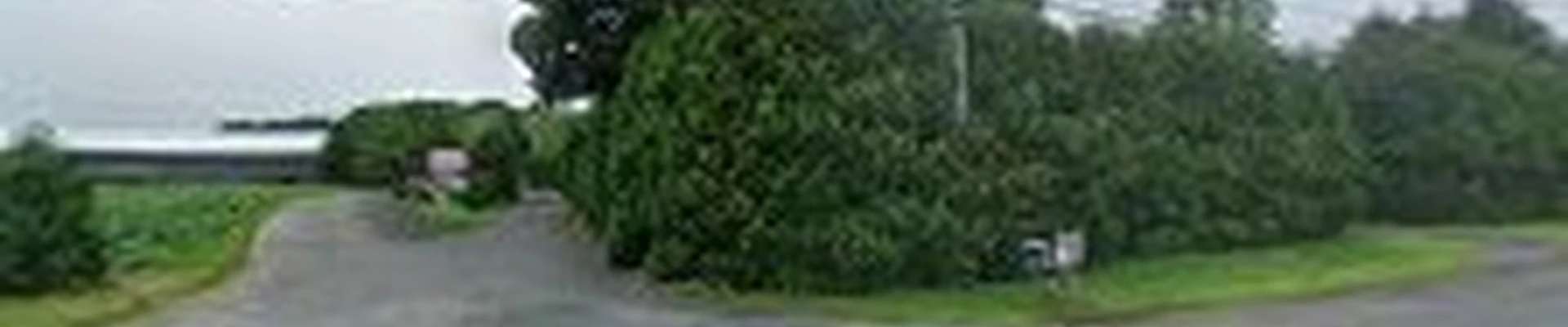 Lambert Lawn Care & Tree | Patio & Walkway | Landscape