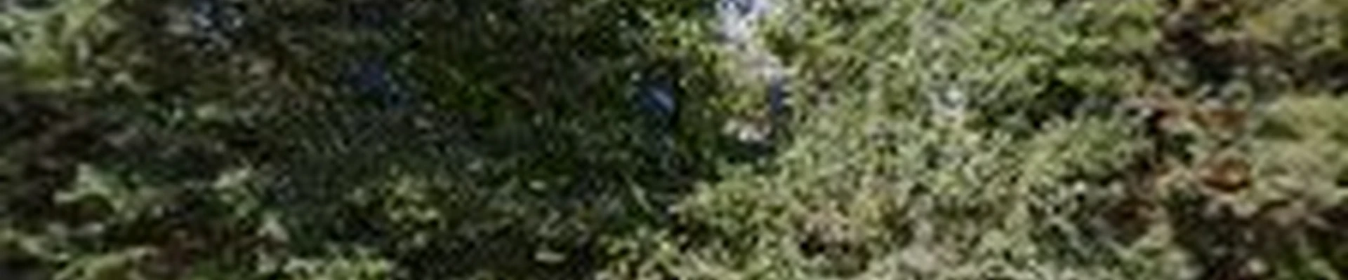 Maturo Lawn & Landscape LLC