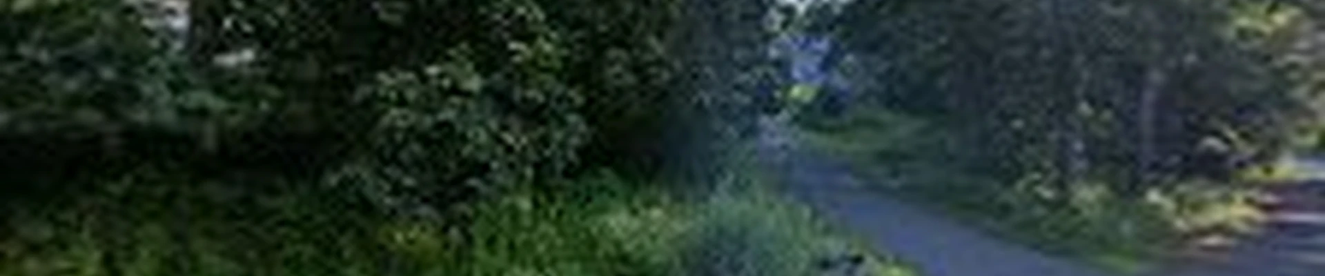 Wellnesscapes Design