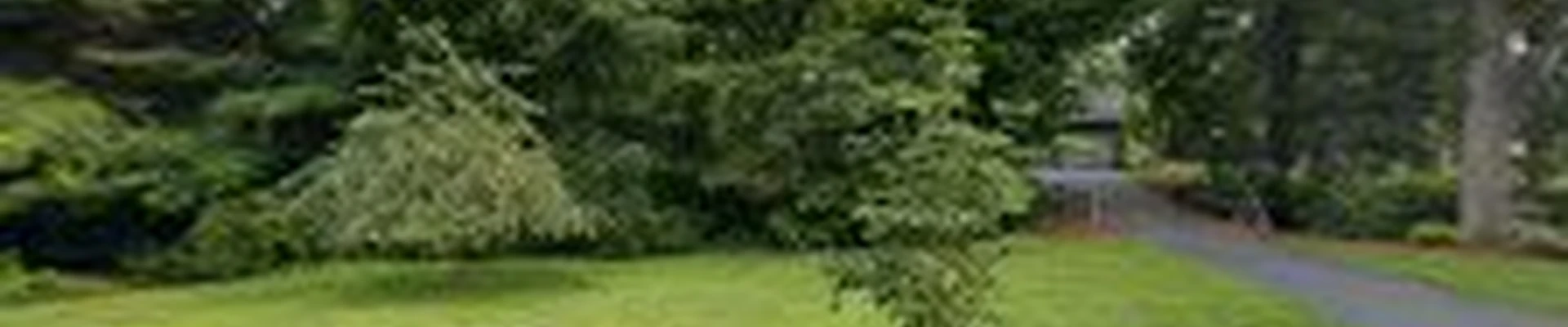RJ Landscapes LLC