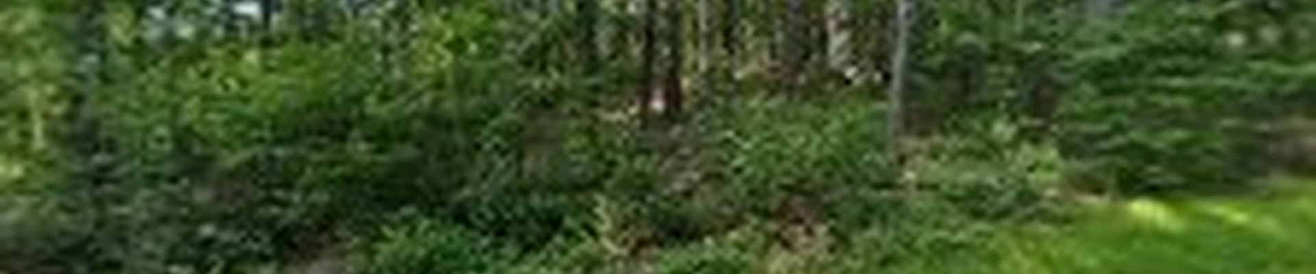 Peak Landscape and Design