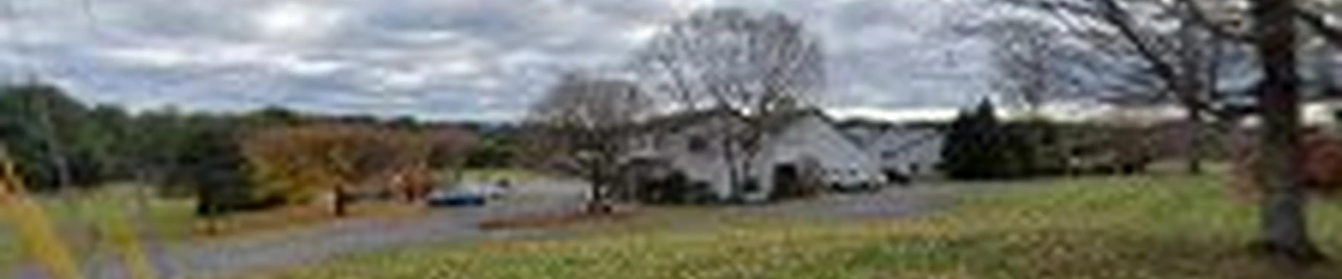 Snow & Sons Landscaping