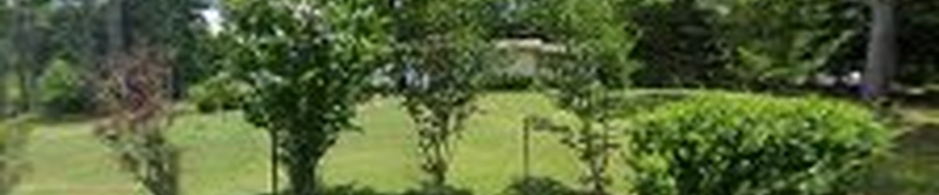 Montoya's Landscaping