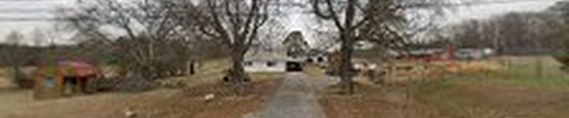 Southern Bleu Landscaping LLC