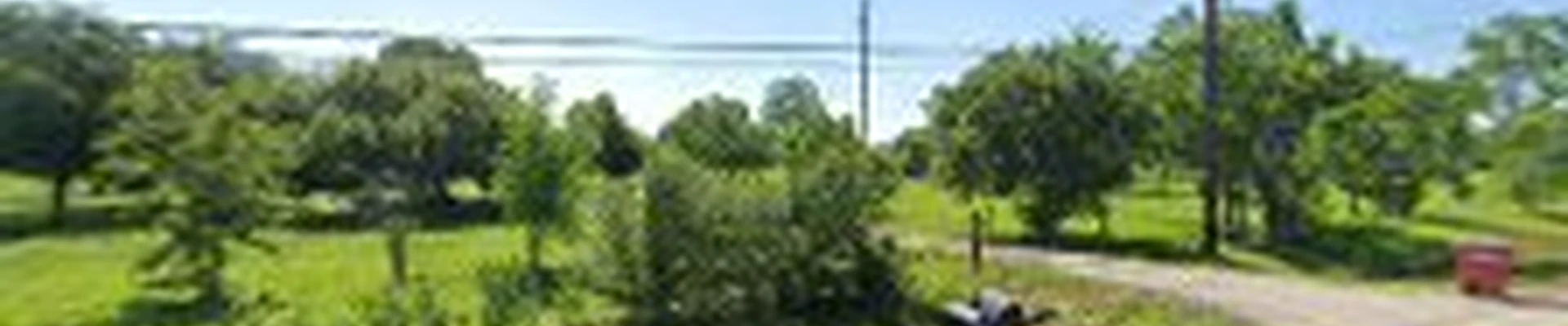 Forged Fence & Deck