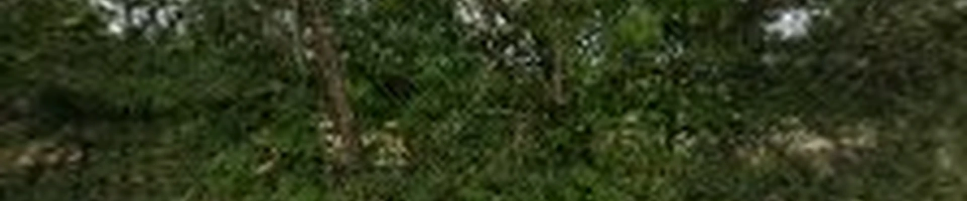 Ochoa's landscaping and lawn care LLC