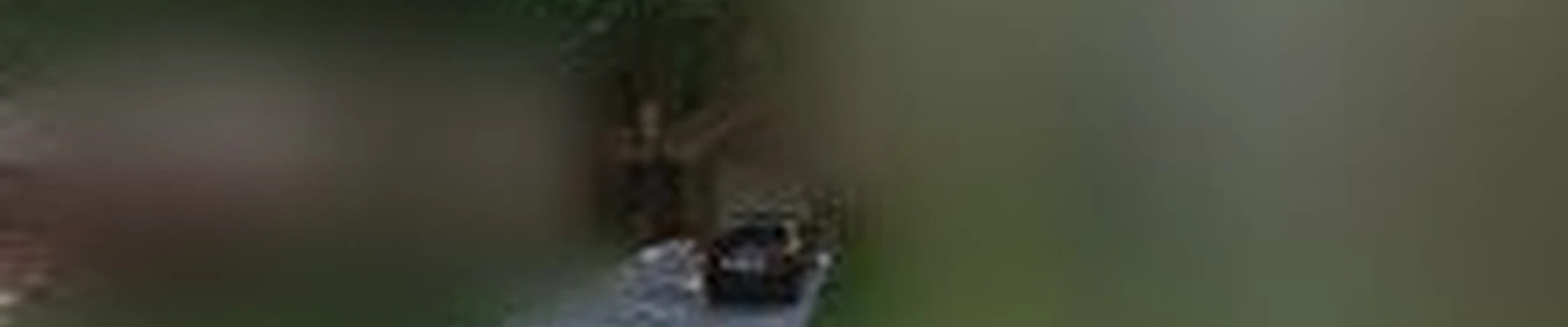Turf Matters Landscaping LLC